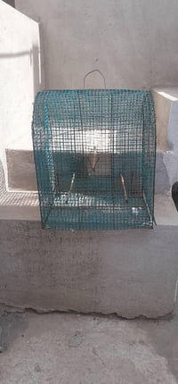 للبيع • ديكور منزلي