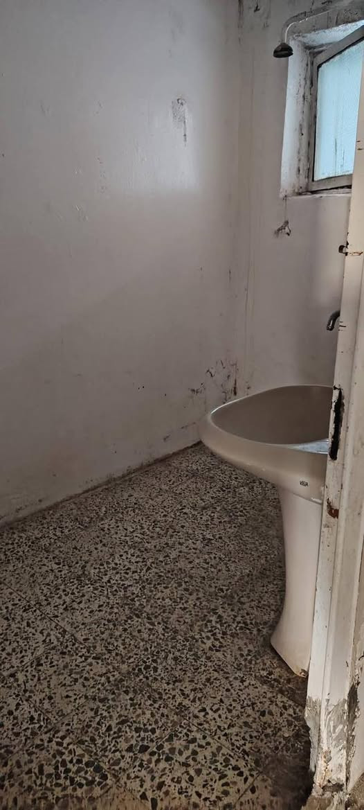 سلام عليكم
شقه ل ايجار طابق ارضي تلفزونيه المساحه ٣٥٠متر 

٣ غرف نوم 🛌 وهول جبير ومطبخ حار وبارد كبار ومخزن جبير وبيت مونه  وحديقه فتل البيت 

المكان شقق الخضراء 

***********

***********
