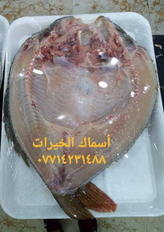 مجزره الخيرات 

سمك حي
سمك شوي 

***********
***********
