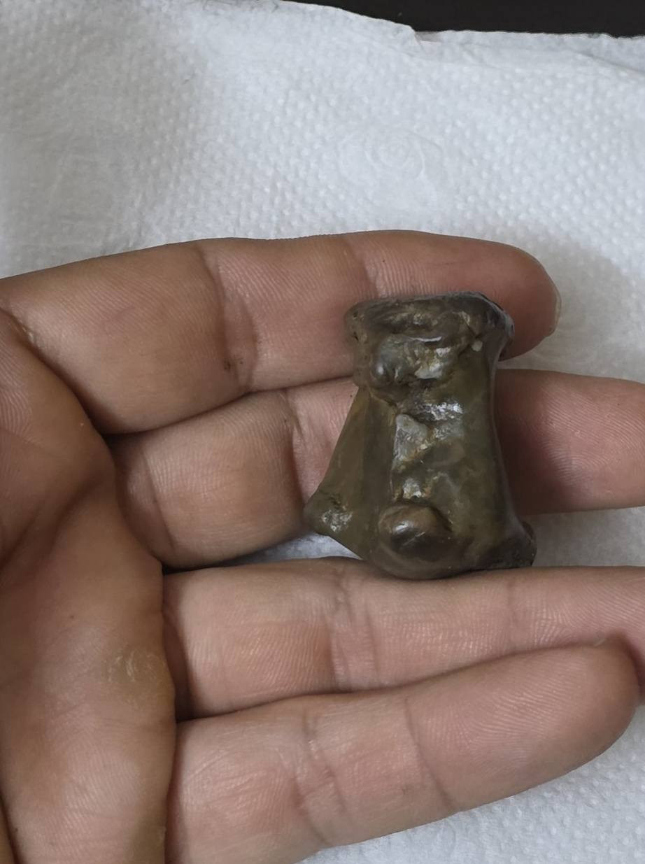 ياالله صلطاني مصور واظح ***********
