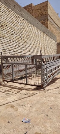 كيا • نثيا • كوفه