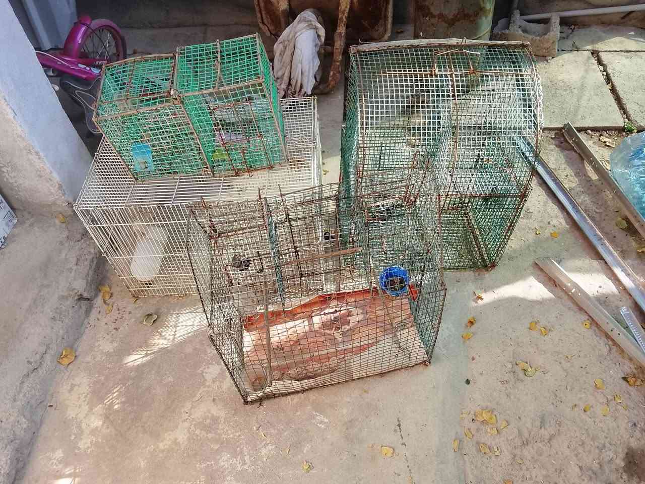 للبيع قفاص اطيور السعر 25الف كلهن وبيهن مجال للطيبين متواجد على الفيس بوك


**إذا كنت صاحب هذا الإعلان وتريد حذفه لأي سبب، رجاءا أرسل رسالة إلى الدعم الفني**