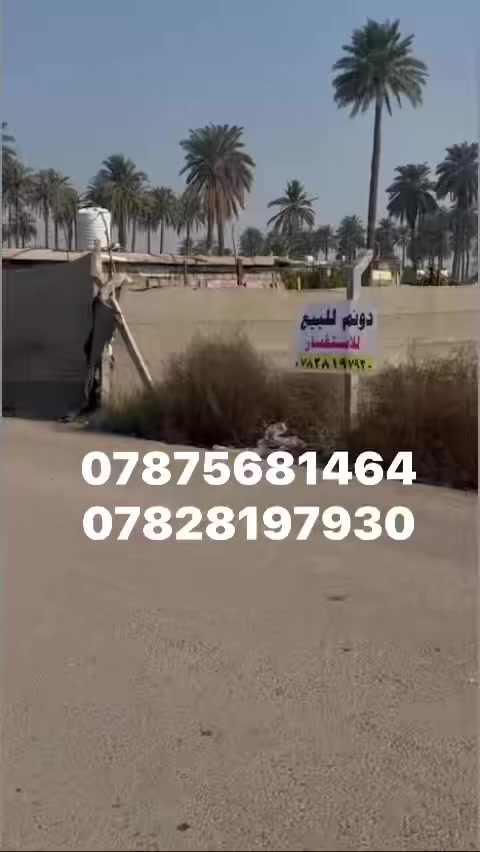 السلام عليكم 
#دوانم للبيع #مجمع #السفير 
#طابو زراعي سند 25  
خدمات كهرباء ⚡️ مياه 💧 تبليط 
قريب من الشارع العام  يتحول باسم المشري ثاني يوم 
حاليان مسيح بي آر سي  يوجد بناء 🔨 
واجهة 50 في النزال 
#للاستفسار الاتصال او خاص 
*********** او ***********
