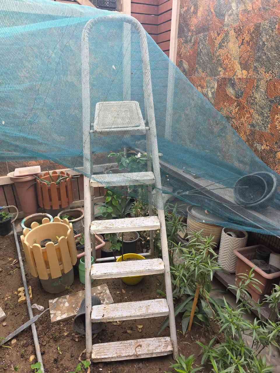 السعر تحت مكان كرخ حي الجوادين


**إذا كنت صاحب هذا الإعلان وتريد حذفه لأي سبب، رجاءا أرسل رسالة إلى الدعم الفني**