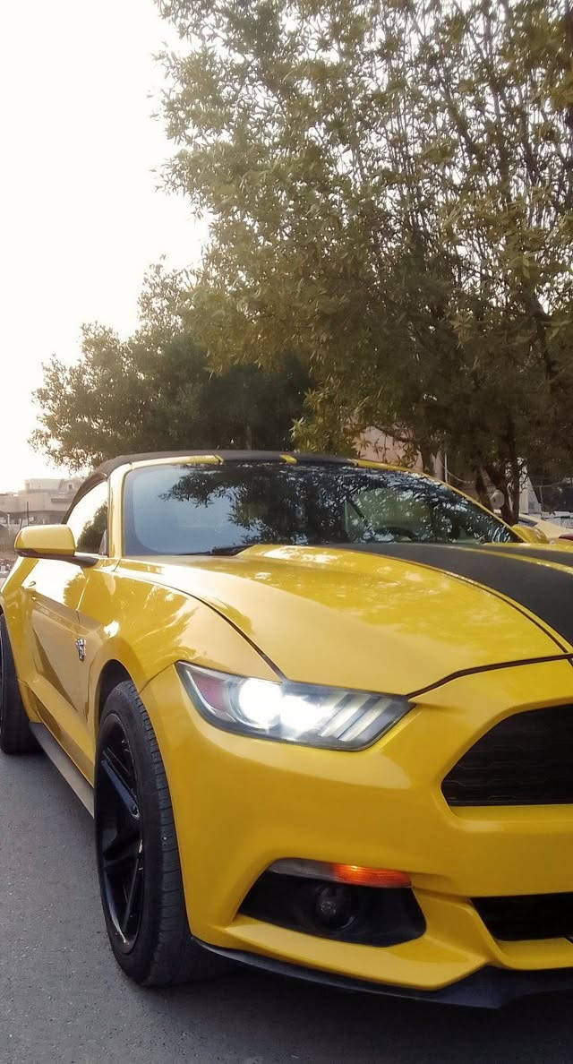 موستنك موديل 2017فوول كشف لون مميز اصفر ايكو بوست حادثھھ شوية من البنيد مبدل اصلي نفس اللون السيارة مكفولة من الصبغ ماعدا الدعامية محدثة GT.وبيھھ اصبع سحب كت كما موضح بالسونار.الشواصي واللغود سليمة محرك كيرحدادية تدفئة تبريد تمام وبسعر مناسب..عليھھ كت كامل السيارة نصبتھھ كلش حلوة ويل كب 20كراسي جلد تدفئة تبريد شاشة كبيرة كامرة حساسات خلفية بصمة تشغيل عن بعد  ..السيارة جاھزة ومابيھھ اي نقص..مكاني بغداد حي الجھاد وبسعر مناسب نقد اومراوس..***********..غيرمتواجد على الفيس رقمي بي واتساب للتفاصيل والاستفسار
