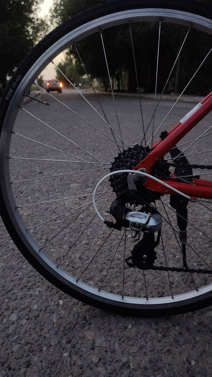 السلام عليكم اخوان بايسكل c700 حجم 28
ياباني اصلي حاويه سستم شيمانو 
لشة عاليه المعدن المنيوم كلش خفيف
البايسكل ما بيه اي نقص وجاهز 
السعر 130 
المكان البلديات


**إذا كنت صاحب هذا الإعلان وتريد حذفه لأي سبب، رجاءا أرسل رسالة إلى الدعم الفني**