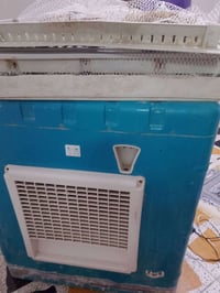مبرده • شغاله • نضيفه