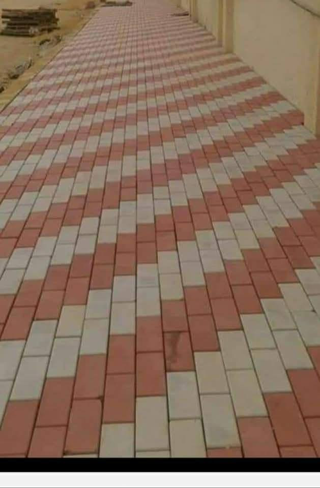 معمل حدائق الابداع @ طابوكه ١٠*٢٠ تجهيز كميات كبيرة حسب الطلب - ***********
