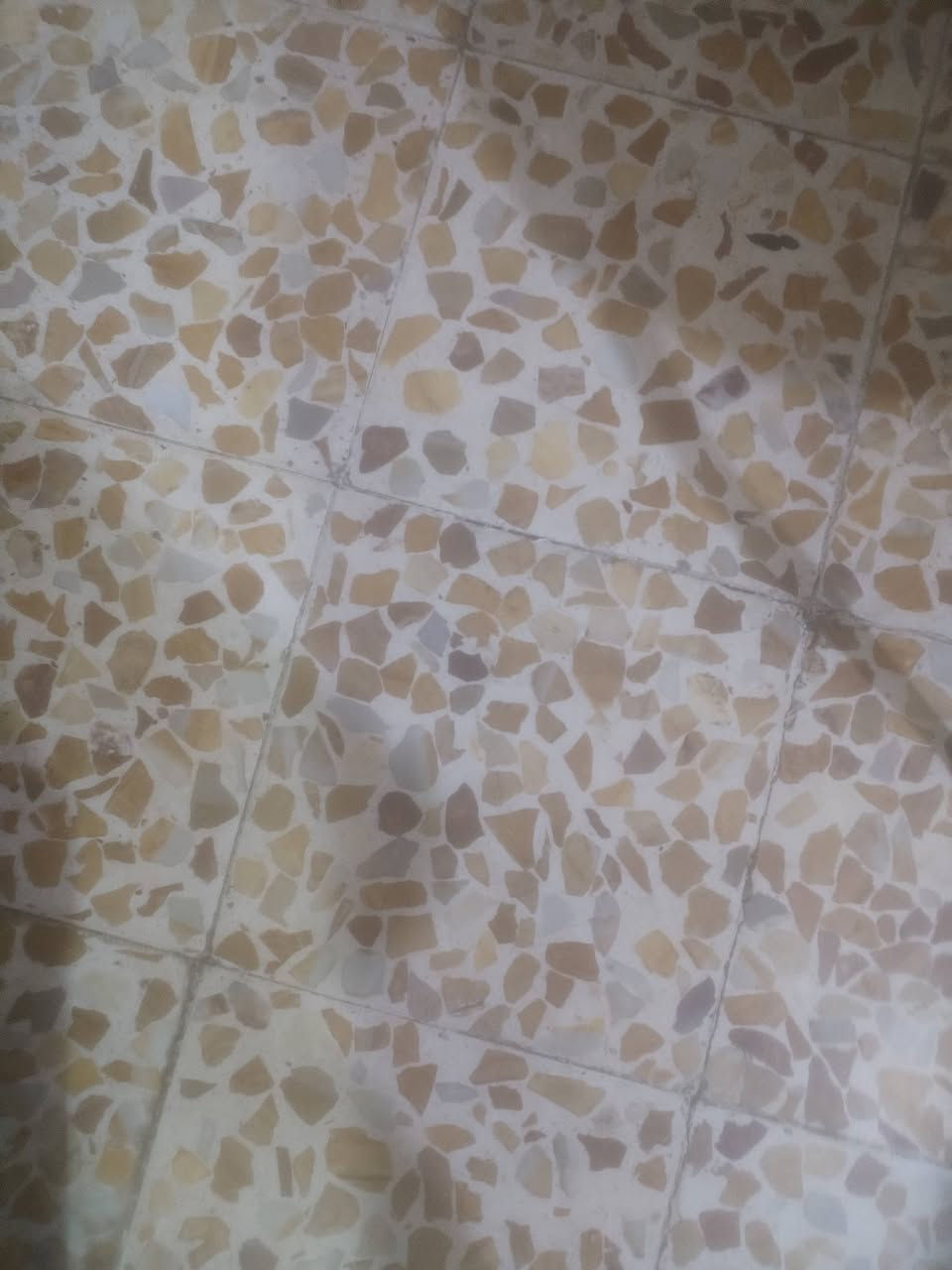 سلام عليكم كاشي مستعمل منو يريده شرط نظيف وجديد مال بغداد درجه اولئ اريد اشيله لئن كفع بسبب جص بل ارظيه بعده بمكانه الي يريده يراسلني  مكان كربلاء حي الاطارات


**إذا كنت صاحب هذا الإعلان وتريد حذفه لأي سبب، رجاءا أرسل رسالة إلى الدعم الفني**