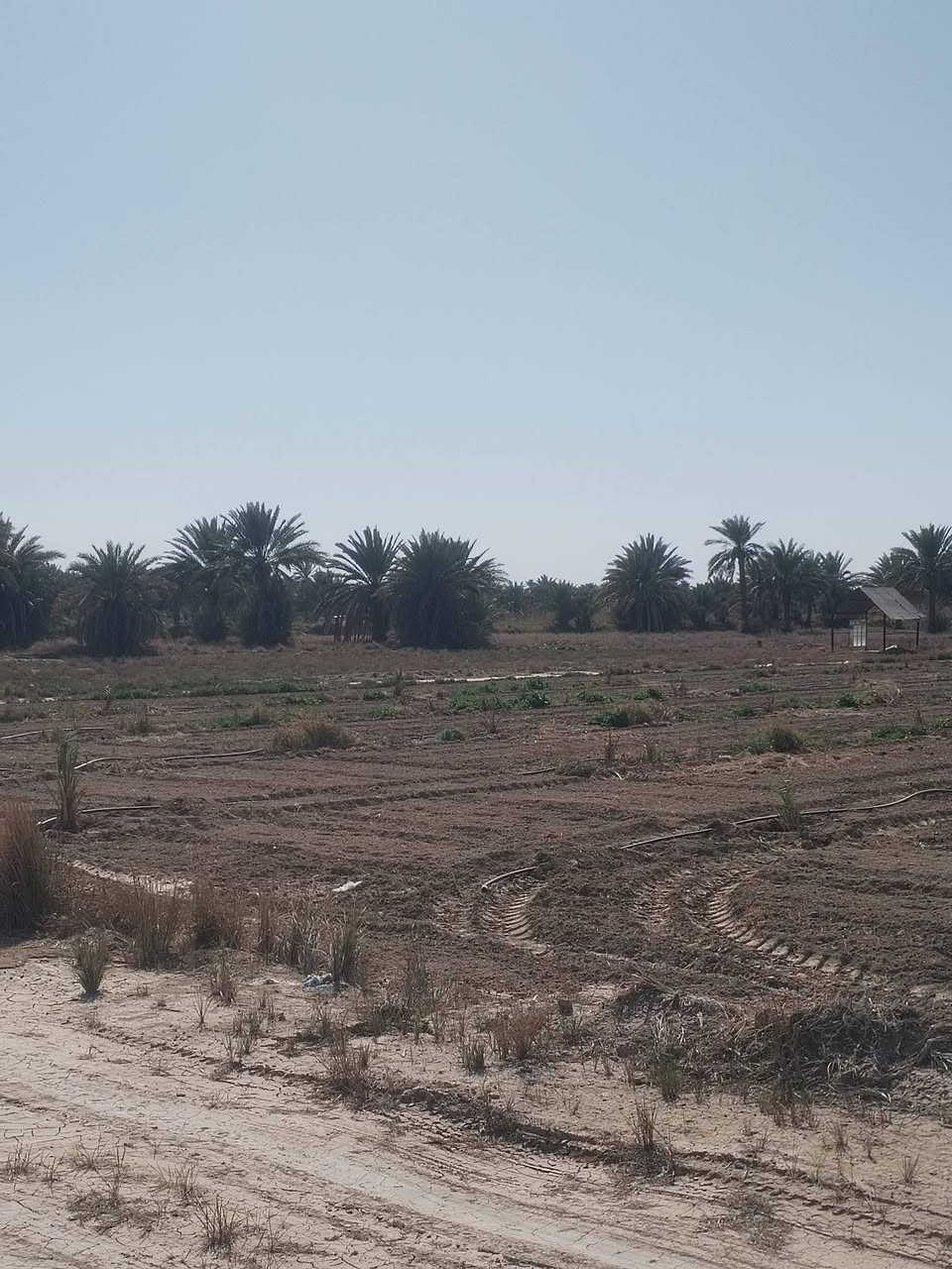 دوانم للبيع طابو صرف بسمي مكان راقي
تبليط كهرباء ماء سقي ماء اساله كله متوفر بل ارض 

الموقع خلف جامعه بابل نزلت الامام بكر ابن علي قرب مقام نبي الله ابراهيم الخليل الموقع الثاني قرب تقاطع شريفه عله بزل حجي علي طريق عوفي يبعد عن التبليط 250متر مكان راقي وسكني مدارس ابتدائية ومتوسطة  واعداديه خدمات كماله 

***********ابو محمد
