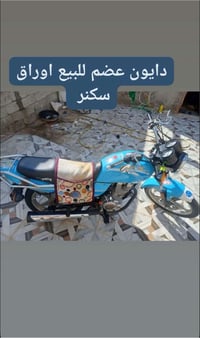 دايون عظم • أوراق سكنر
