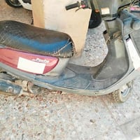 منغولي • طافيه • مكفولة