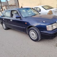 راس الثور • تكم • ١٩٩٥