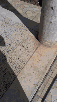 السلام عليكم 
ماكس ثعلب نظيفة 
عوزها ترتيبات بسيطه يعني كابريتر لازم تصفى مكينة مفتوحة 
مزود سلف هندر باتري كهربائيات جاهزة حلوة 
السعر  500
***********   وتساب بغداد الكرادة الجادرية
