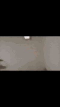 حي الشهداء • ١٠٠م • غرفة وصالة