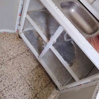 سنك تفصيل • سويته هالسنة • حي ١٧