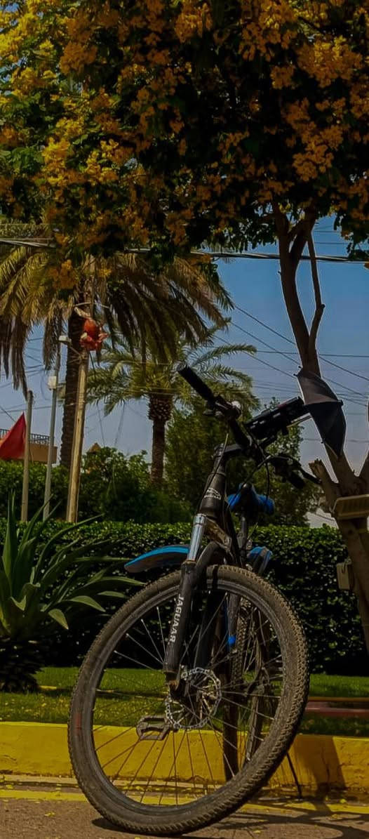السلام عليكم من رخصة الادمنية بايسكل جبلي بالة اوروبي
اشتريتة ب ٧٥ الف وصارف علية اكثر من سعرة البايسكل كلشي مابي حسب استخدامي

 المشكلة الوحيدة الي اعرفها بي بريك امامي ماكو اما البريك الخلفي موجود بي وشغال كلشي مابي تايراتة بحالة جيدة
والستاند موجود الي بالصورة للي يريدة

 قيم وراسلني خاص وبي مجال وتدلل مكاني بالحرية توصيل ماعندي


**إذا كنت صاحب هذا الإعلان وتريد حذفه لأي سبب، رجاءا أرسل رسالة إلى الدعم الفني**