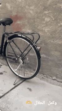 سلام عليكم شباب بايسكل بناتي كير وحساس امامي  
بايسكل كامل مكمل بريكات تايرات جدد جوابه جدد 
بايسكل حجم 26 
عوزه بس تعديل ويل خلفي بي عواج كلش قليل 
مكان بغداد بياع 
 رقمي ***********
                                        سعر بايسكل 60 وبي مجال  
بدون كسر بل سعر يرحم والديكم  
💙🧡
