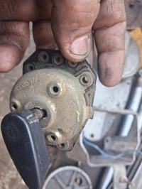 جوزه وسويج • ألماني • فلوجة