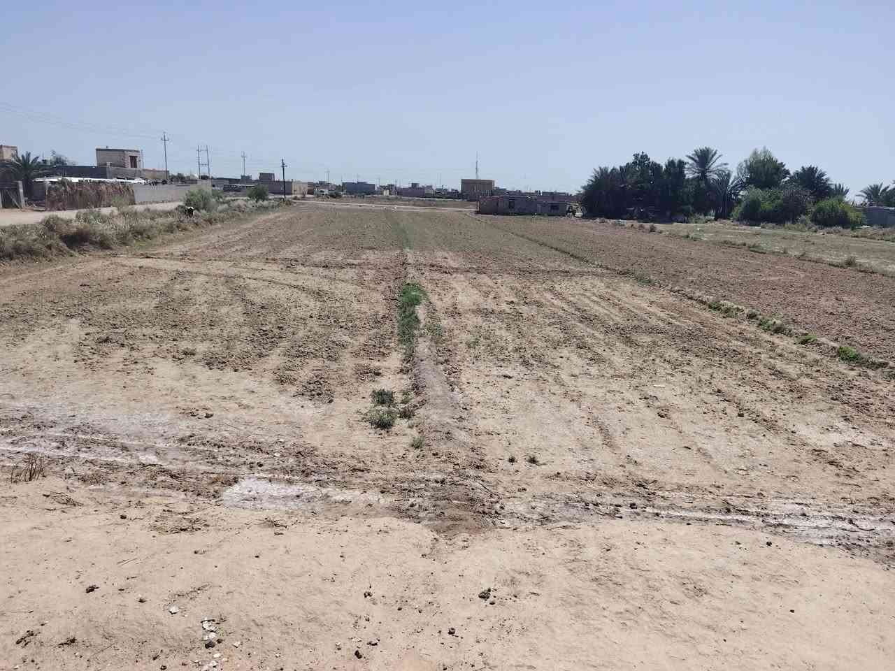 راض زراعيه البيع ٢دونم معه وحد دونم شاطيه جروف لأرض عقد ١١٧ لأرض عليه ٣ شوراع تبليط كهرباء ماء متوفر مكانه سعيده خلف محطه بيت لازم طريق عماره بصره ***********
