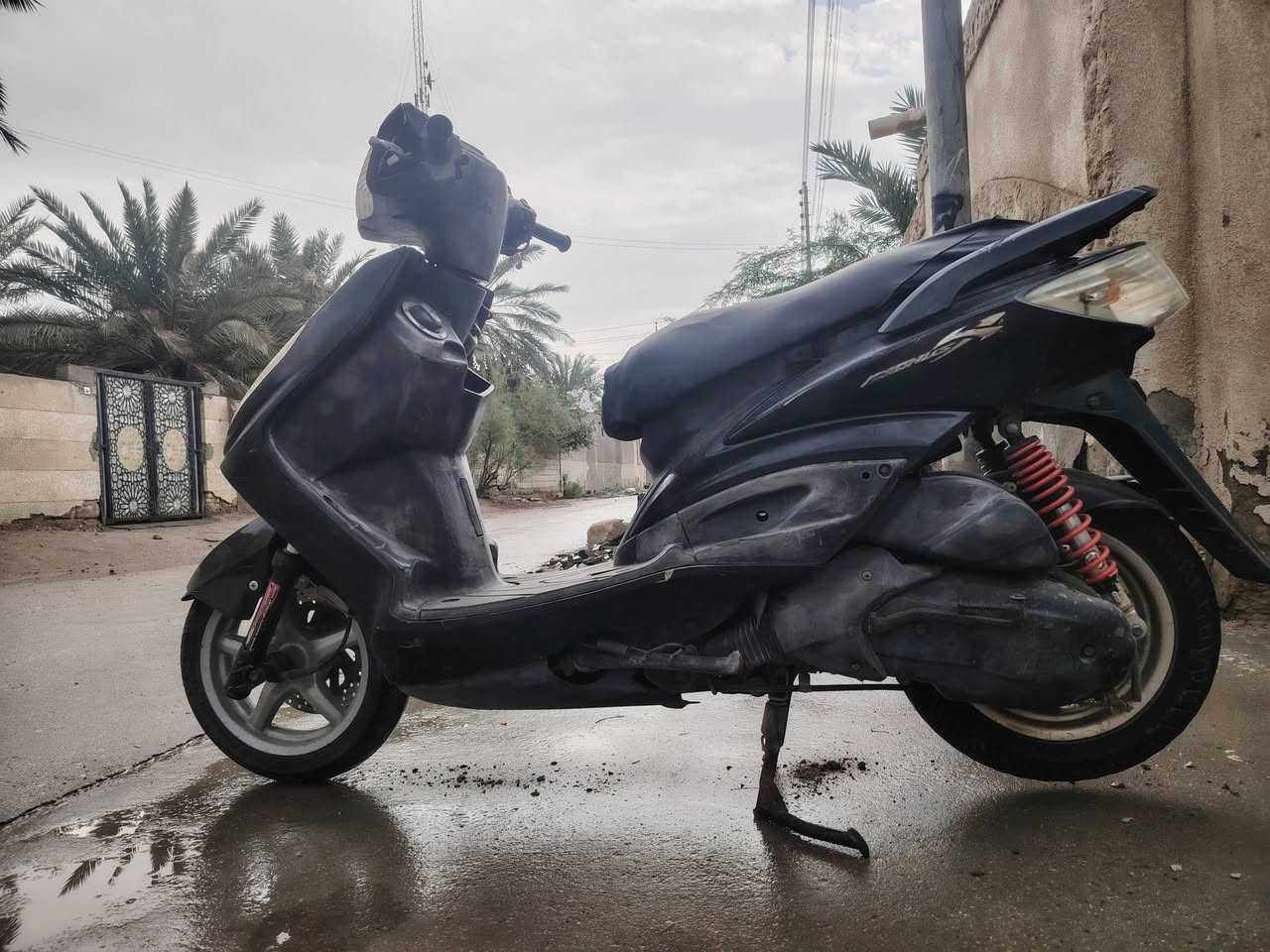 السلام عليكم سكنس فحل ياباني دراجه ما مفتوحه جيب فيتر وفحص دراجه بلاديه تخبل سعر 800 وبيها مجال  مكاني ابو الخصيب الاسمده شراي يجي وساب
***********
