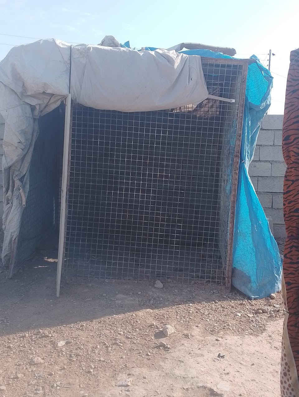 السلام عليكم قفص لبيع والتصال على رقم ***********
