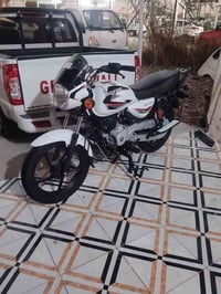 بوكسر كلاسك • موديل 2023 • أوراق أصلية