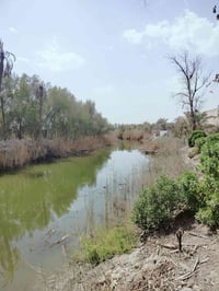 دونمين • ابي الخصيب حمدان • طابو ملك