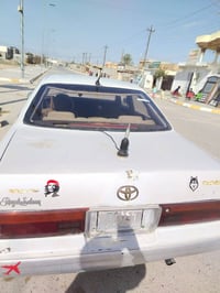 بطة كص تكم جلسة سعر 16 07716892001