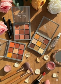 باليت شدو كوكي • مات وشيمر • قطعة هدية