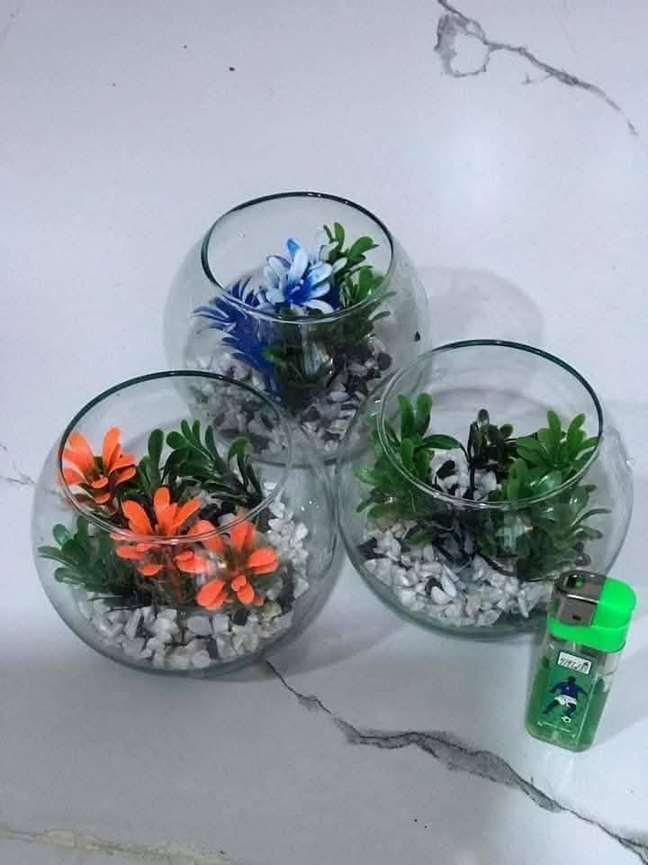 ‎دورق زجاج مع نبات اللبلاب ضلي دائمي متسلق
السعر 2 ب5000
توجد خدمة توصيل بالف‎ عمارة, ميسان


**إذا كنت صاحب هذا الإعلان وتريد حذفه لأي سبب، رجاءا أرسل رسالة إلى الدعم الفني**