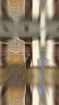 مشتمل طابو زراعي للبيع .. 80 متر بسعر 80 مليون طابق واحد  وارد شهري مؤ...