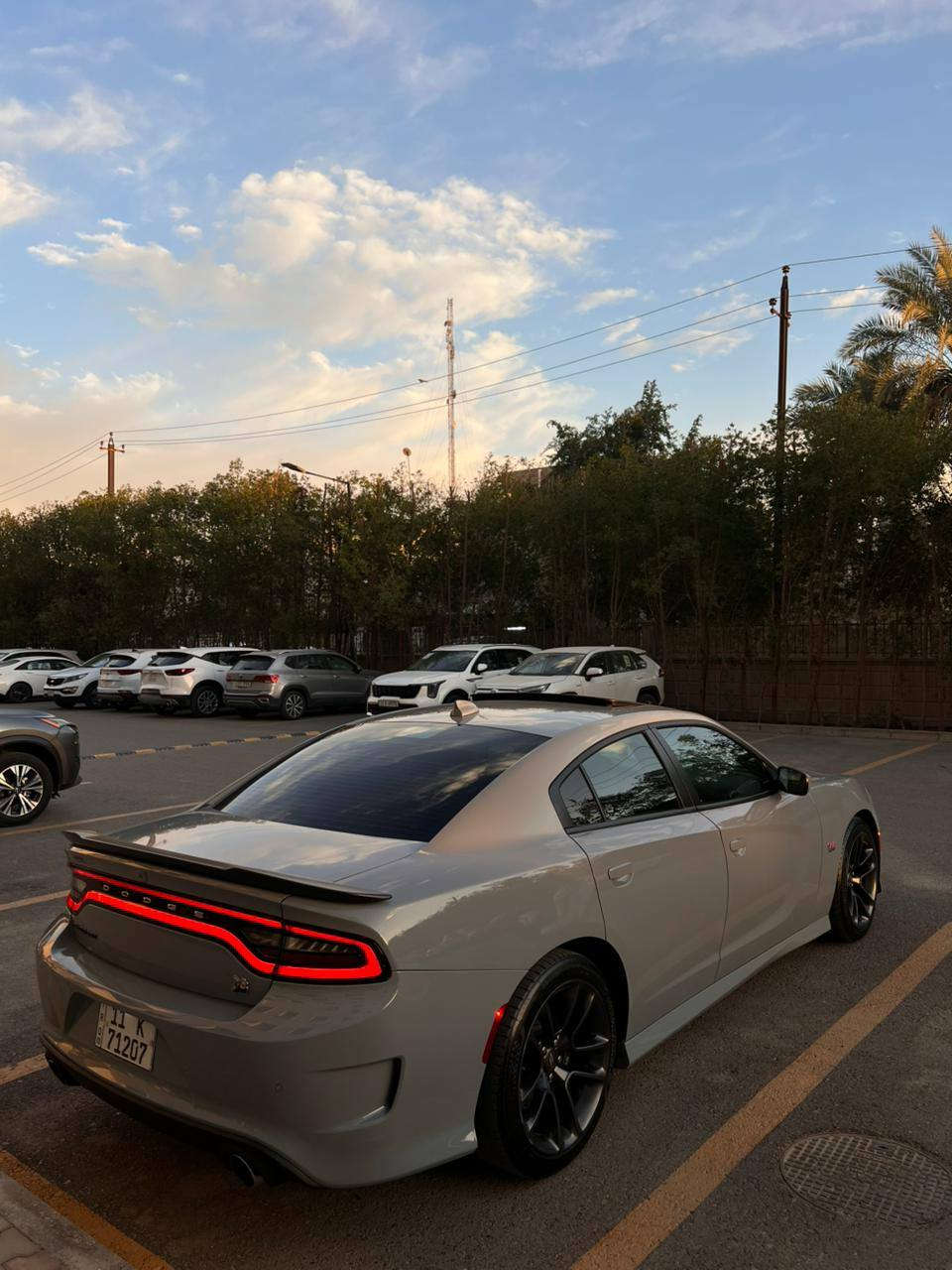 دوج جارجر سگات باگ 6.4 392 SRT 2022 لون سموك 
الجديد السياره فول فتحه وارد امريكي 
ضرر جدا بسيط فقط قطعه وحده صبغ فقططط !! 
والباقي كفاله عامه من فتح والتبديل ( بدون ايرباك ) رقم بغداد باسمي سنويه هزه وفحص ورقم كله جديد ماشيه 37mi السياره حتى غراضه الاصليه مال وكاله كله اجتي وياها ( بصمتين شركه ) ارضياته الاصليه كتلوكاته غراضه كله وياها السياره ترايه كله زيرو كله ع بلاد بعدها السياره ستوك بدون برمجه ولا حتى العقل مفتوح ولاملاعيب العيد استخدام يومي كير ومكينه وصدر كله بلادي المكينه اجتي من امريكا مفتوحه شرط مكفوله من اي عطل ومسج والبخار والتنقيص شرط السونار طبعا اي شي خلاف بلكلام اني خسار … 
مواصفات …..

🛑 السعر سوي تعليق يصل مباشرة 🤖 

بصمة
فتحه 
تدفئه بالكشنات الاماميه
شاشه كبيره حجم 8.5 جميع الاوبشنات مفتوحه
نظام LAUNCH
نظام DRIVE MODES
فجوج برمبو 4 بستم
تدفئه استرين
كشنات مخمل حضن 
كشن كهرباء
حساسات خلفيه
ويل سكات حجم 20
نظام سوبر تراك باك
كشافات زينون 
كامره خلفيه دواره فول HD 
كزوزات بلاد ودبات سود اصل
دبلات لون اصفر SRT
ولف حماوه ريسنك 
مودات قياده سبورت وايكو 
نظام تراكشن اكسل مقفول 
اخوان اغلب مواصفات كتبتها للتوضيح والسياره مكفوله من اي نقص لونها الجديد السموك سياره ٢٠٢٢ اصل وصور ضرر موجوده الي يحب يراسلني ورقم شاصي موجود وين ميعجبك افحص فقط بس بنيد صبغ وباقي كفاله عامه 
ورجع اكرر بدون ايربااااااك 
السياره عارضه بسعر حلو مال بيع …

مكاني بغداد / حي الجامعة
للاستفسار اكثر / ***********
