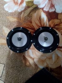 هورن بوش • زنابير • الغزالية المشجر