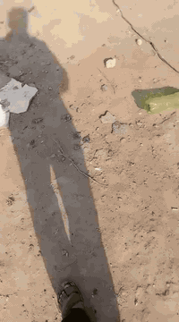 سلام عليكم
مكلفة بالنشر بالنشر قطعة ارض  للبيع مساحة 350 متر بيها غرفتين بتلو مدفون   مكانها حي صدام  لتواصل  والاستفسار اتصال بالاخ عدنان بيت ابو حجار ***********
