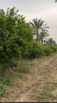 للبيع ارض دونم في بغداد الزعفرانيه سعر 215مليون الاستفسار 07704679011