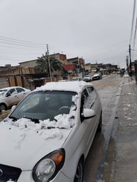 كيا بيكانتو • ٢٠١٠ • رقم اربيل