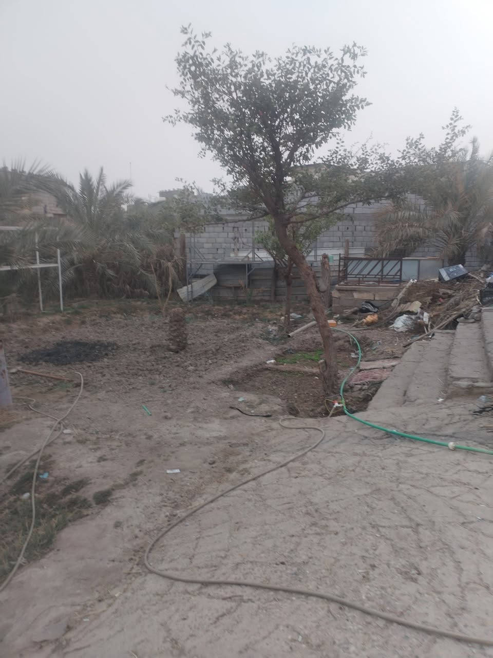 سلام عليكم ورحمة 👇
متوفر بستان للبيع طابو صرف عراقي 👍
 تحويل سهم بالطابو
المساحه دونم 2500 متر 
 يقع في أبو الخصيب السيبيليات قريب على الطريق السياحي يحتوي على بيتين
يحتوي على انواع كثيره من النخيل
والأشجار
وعلى نهر
سعر 365 وقابل للتفاوض
جيران ناس ذهب 
للاستفسار الاتصال على الرقم
***********
