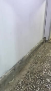 الشاعر المعمل • زراعي • ٨٠م