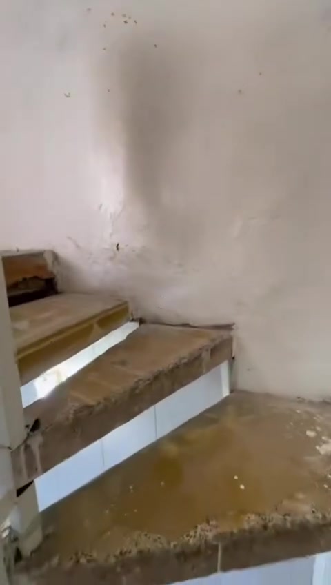 سلام عليكم نص قطعه للبيع قطاع 46 قرب دائرة الكهرباء  مساحه 63متر قاطين طابق جوه ستقبال و مطبخ و غرفه و حمام و طابق فوك غرفتين و حمام و سطح : حالياً( مؤجره ب 450 الف ) سعر مالته 110 بي مجال لل ستفسار رقم : ***********

