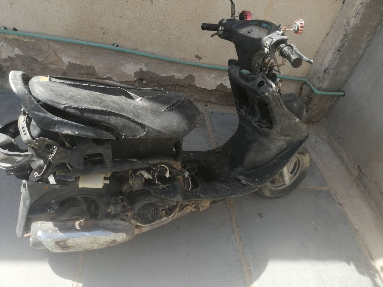 سلام عليكم دراجه فراشة فحل البيع مكان ديوانية دغاره ابيع جوم حديد السعر ***********
