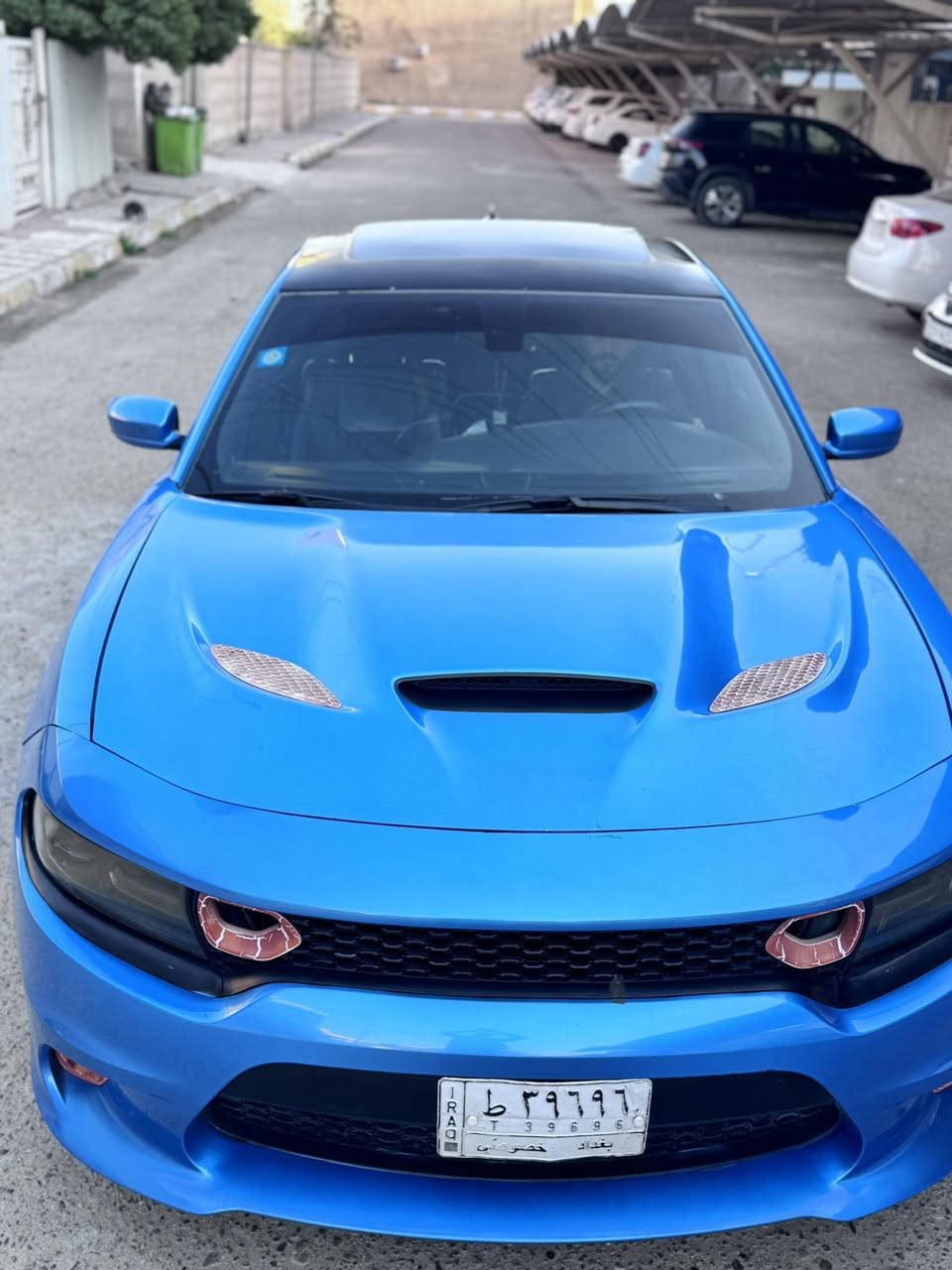 جارجر للبيع
موديل 2016
لون ازرق بحري
الفئه رالي بلاس
المكينه3.6
المواصفات🧨
قماره سوده بلادي
ماشية 172 الف كيلو
نظام تراك باك  + سبورت
فتحه
كامرة
كراسي كهرباء سايق + راكب
كشنات  جلد بلاد /خزن وضعيات كشن سايق + كشنات تبريد تدفئه امامي
كشنات خلفي تدفئة . .
شاشه حجم كبير + اوبشنات الشاشه مفعله
مري قلاب
شفتات ستيرن
دمام نوع b بلصندوق.  رقم بغداد بأسمي.    الاضافات. /سقف روز رايز  / بنيد + دعاميه اماميه + دعاميه خلفيه محدث srt+ سبايدر وجنح خلفي.  ويل كب فيرادة امريكي تو سايز  تخم تاير  امامي 285.  خلفي 315   +طلقات  باتري جديد. سعر 175  $ بي مجال
***********
