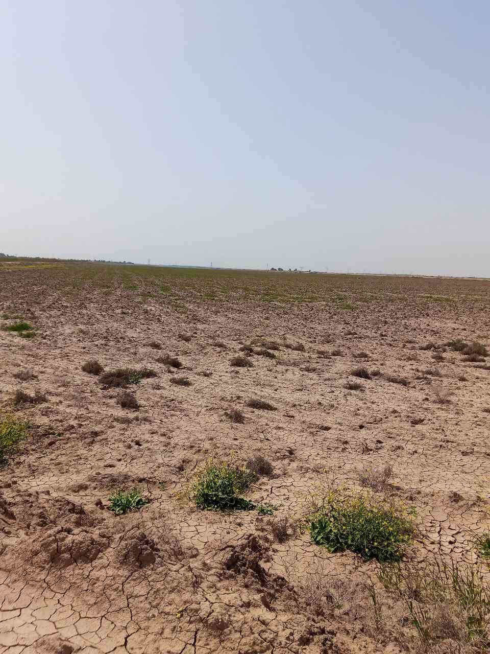 السلام عليكم ورحمة الله 

يوجد أرض طابو  زراعي (200 دونم) حق التصرف

واسط الحفرية قرب تاج الدين 

الاستفسار اكثر مراجعه مكتب عمار احمد 

العنوان واسط العزيزيه شارع الخليج مجاور علي الماس 

*********** /***********
