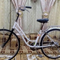 بايسكل ياباني • بناتي • كرمة بني سعيد