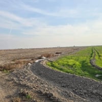 ١٢ دونم • طابو زراعي • ماء وكهرباء