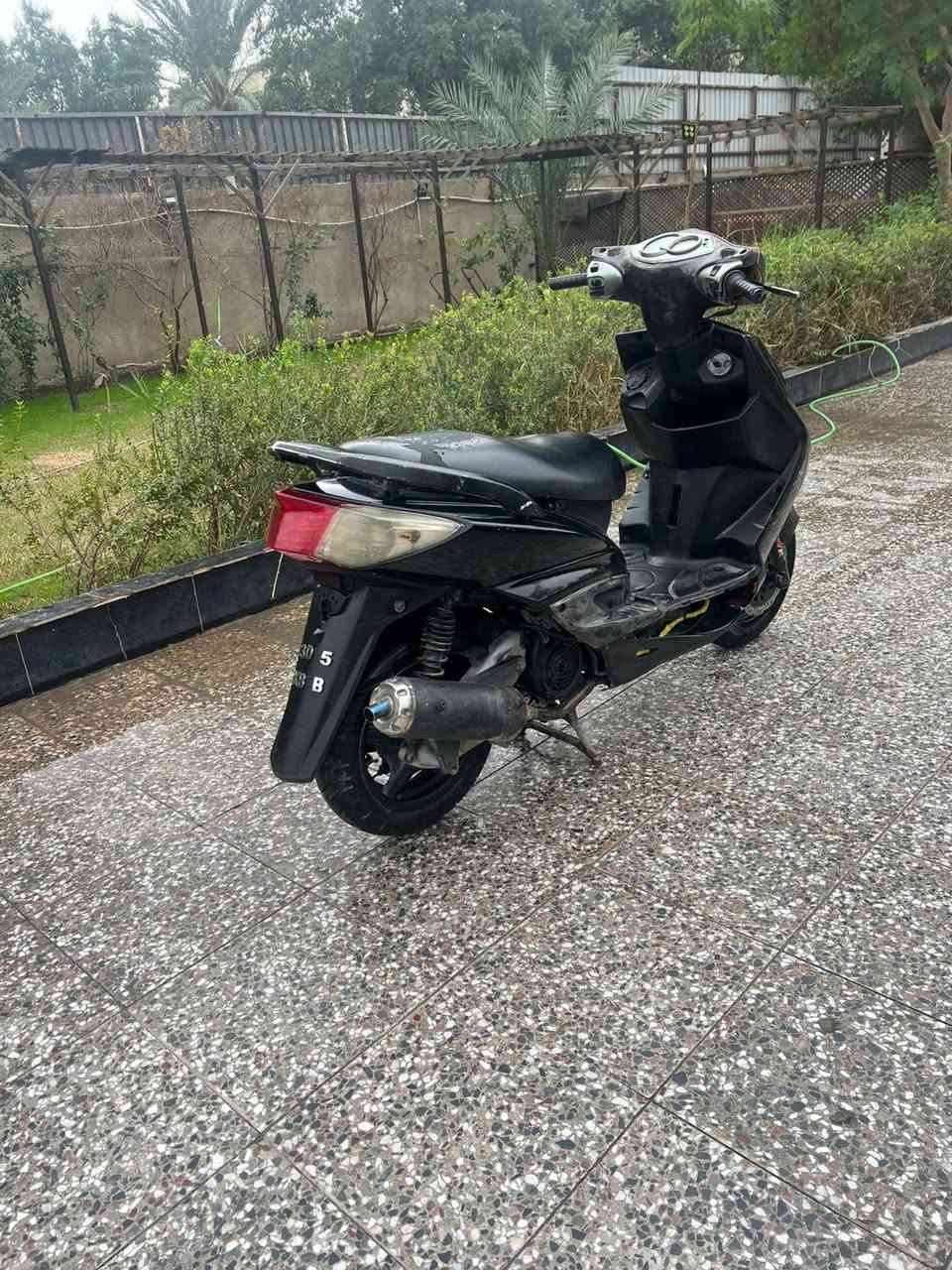 سكنس فحل مكينة حلوة بيع مستعجل
مكاني بغداد الكفاح *********** السعر 550 الف
