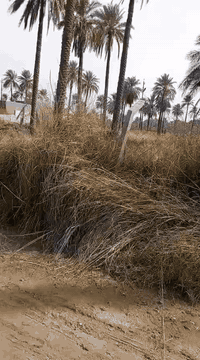 السلام عليكم دونم للبيع بغداد الفحامه قرب جزيره بغداد السياحيه خدمات كامله واجهه ١٠٠ نزال ٢٥ جنس العقار ملك صرف تحويل مباشر ب اسم المشتري على طابو الاعظميه الاستفسار  ***********
