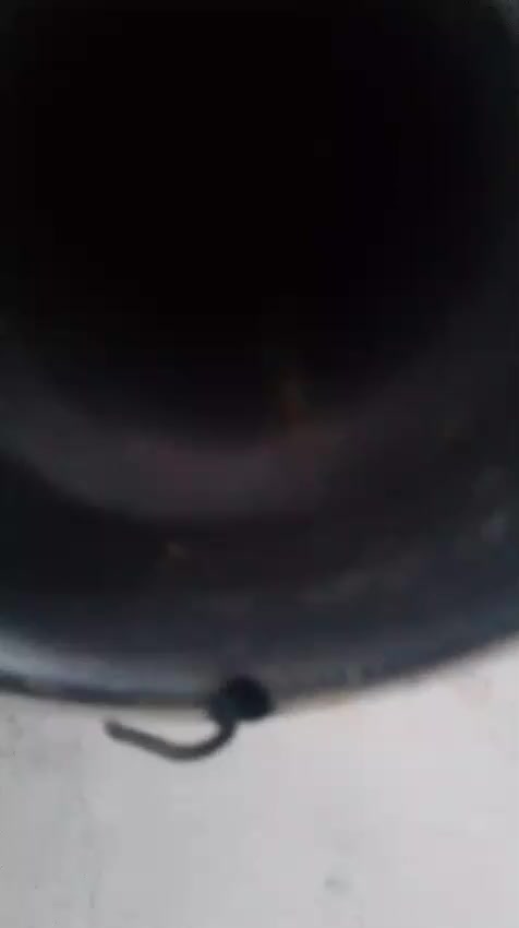 دراجه شاصي نامه اسكنرر مكينه نتنسس بس مفيلسه ولباقي مكفول مكاني ميسان لمدثره سعر 650وبيه مجال حق جيه ستفسار*********** موجود بس واتساب
