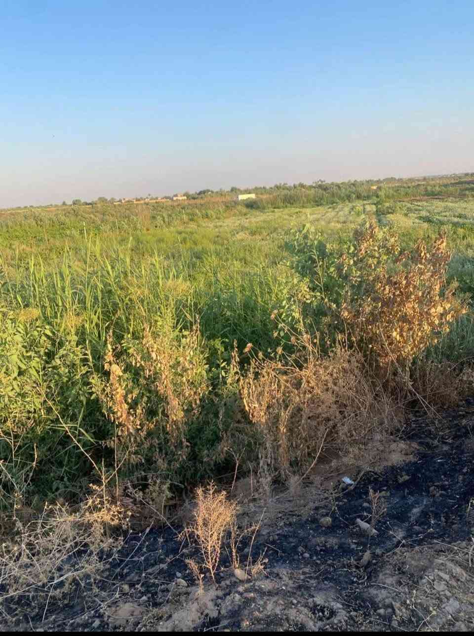 قطعة ارض للبيع 2 دونم زراعي حاوي الفراج من السده الى النهر
الواجهه من اتجاه السده 42 متر
والنزال بتجاه النهر 123
السعر 27 مليون وبيها مجال


**إذا كنت صاحب هذا الإعلان وتريد حذفه لأي سبب، رجاءا أرسل رسالة إلى الدعم الفني**