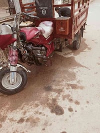 ستوتة للبيع 07846006669